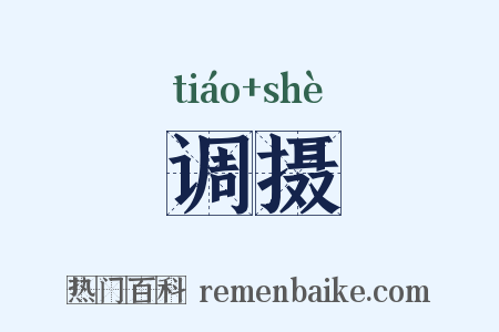 调摄是什么意思的图片